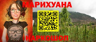 сатива Обнинск