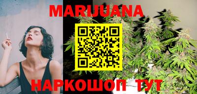 сатива Обь