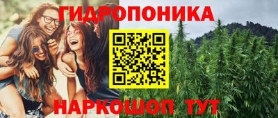 сатива Обь