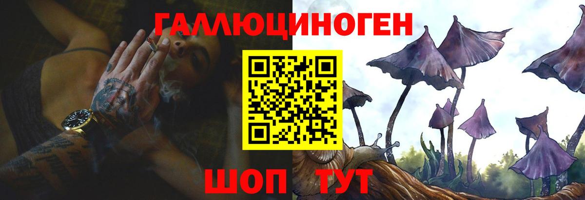 Псилоцибиновые грибы Psilocybe  Вход с VPN  Нефтекумск 